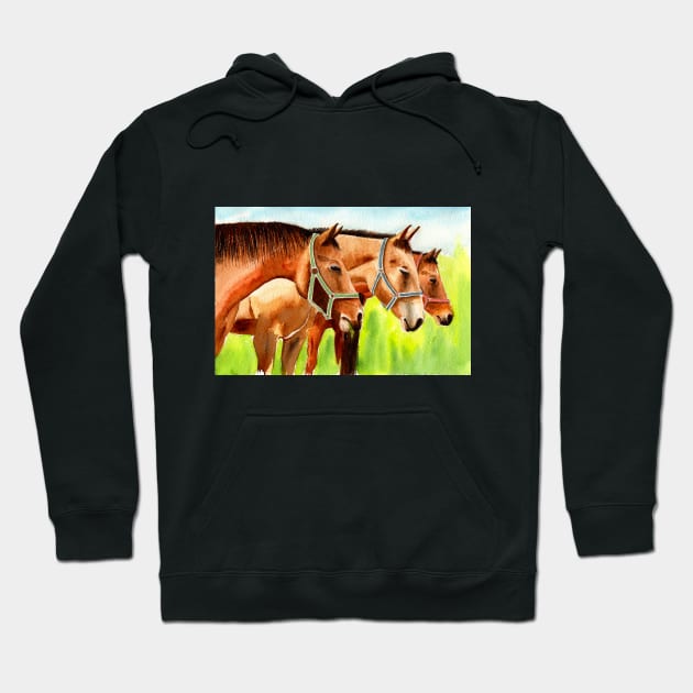 Watercolor Horses Painting Hoodie by MMcBuck